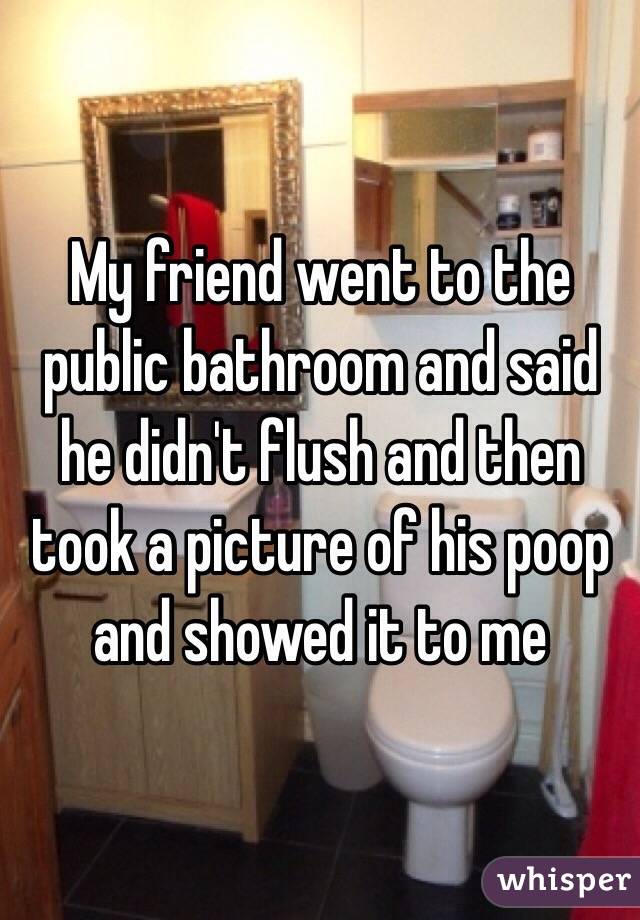 My friend went to the public bathroom and said he didn't flush and then took a picture of his poop and showed it to me 
