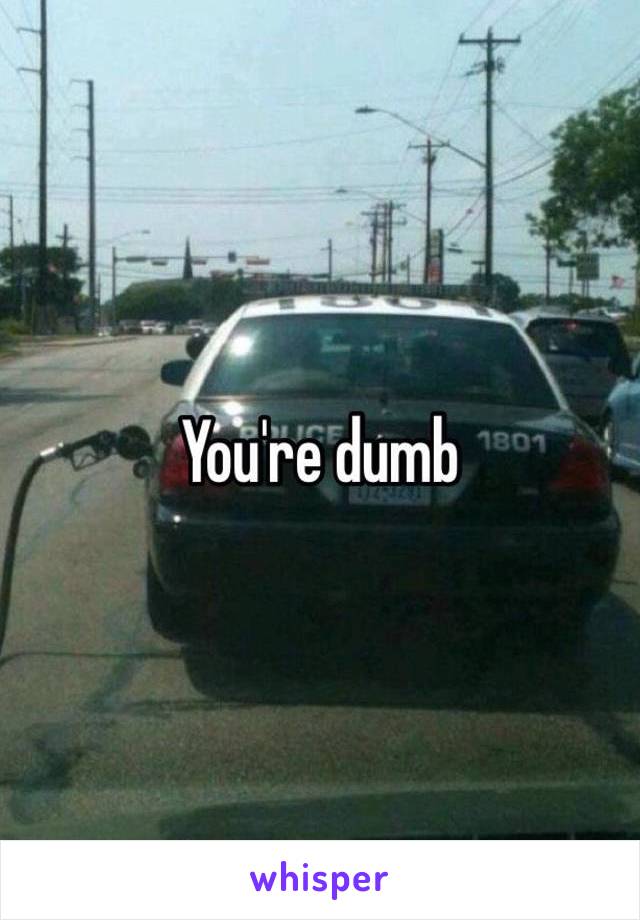You're dumb