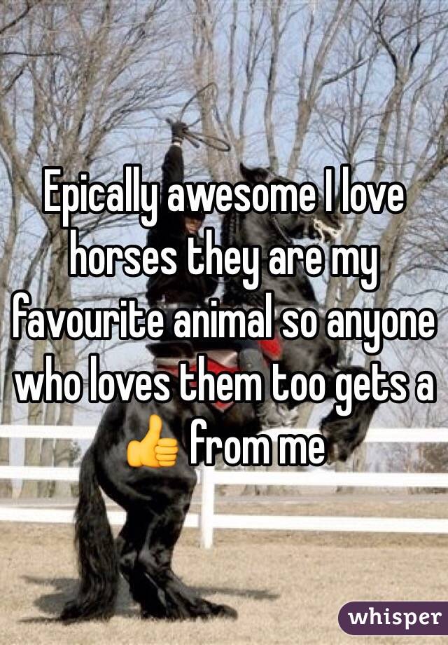 Epically awesome I love horses they are my favourite animal so anyone who loves them too gets a 👍 from me