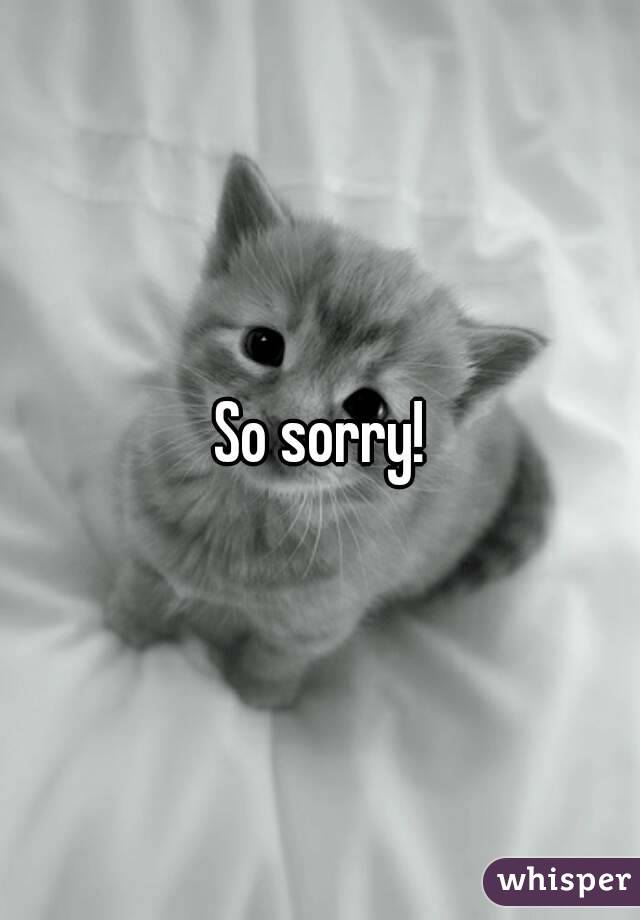 So sorry!