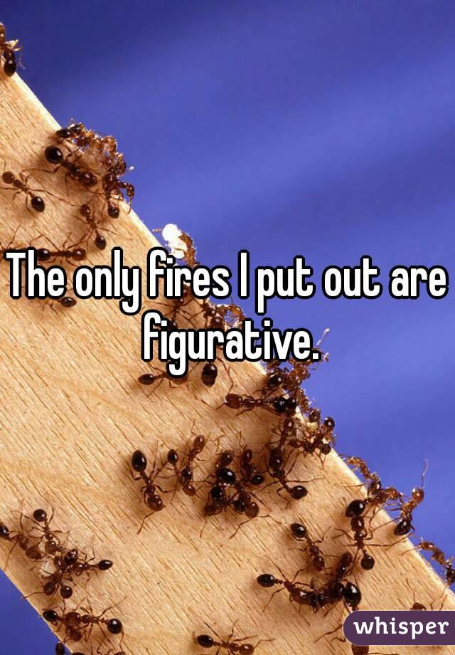 The only fires I put out are figurative.