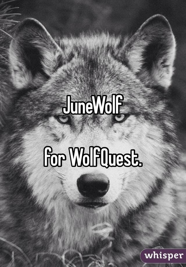 JuneWolf

for WolfQuest.