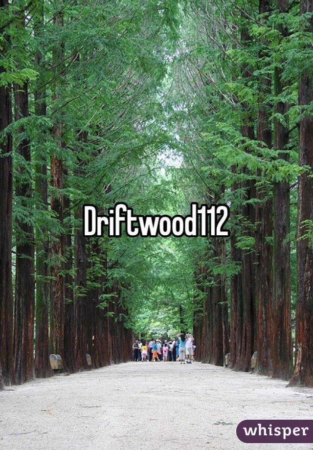 Driftwood112