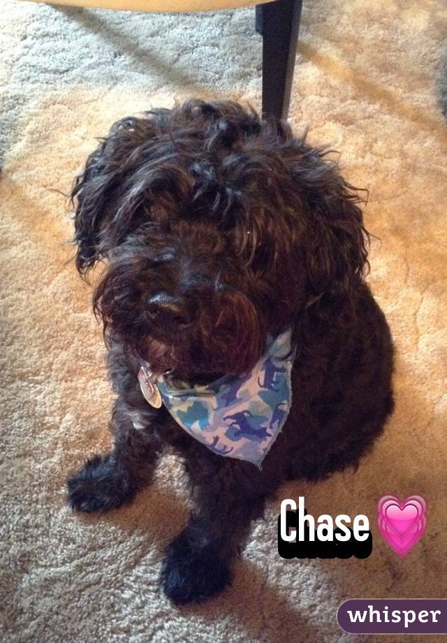 Chase💗