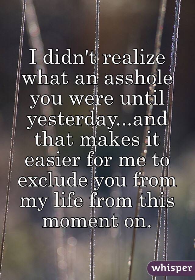 I didn't realize what an asshole you were until yesterday...and that makes it easier for me to exclude you from my life from this moment on. 