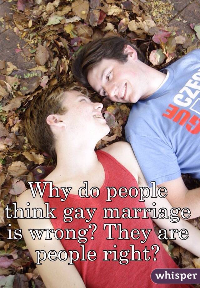 Why do people think gay marriage is wrong? They are people right? 