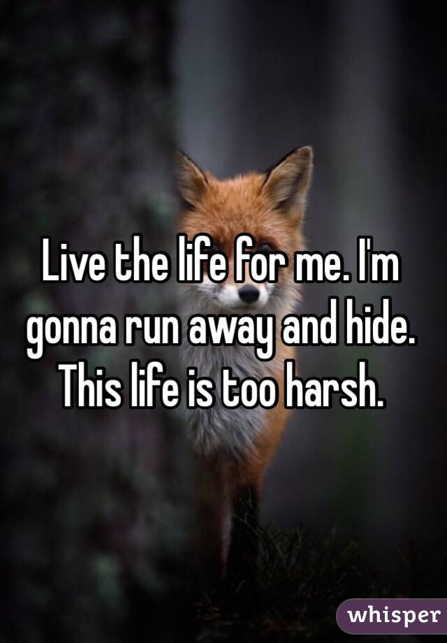 Live the life for me. I'm gonna run away and hide. This life is too harsh.
