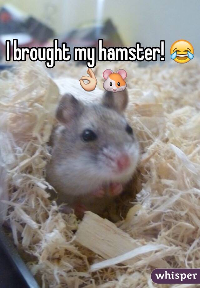 I brought my hamster! 😂👌🐹