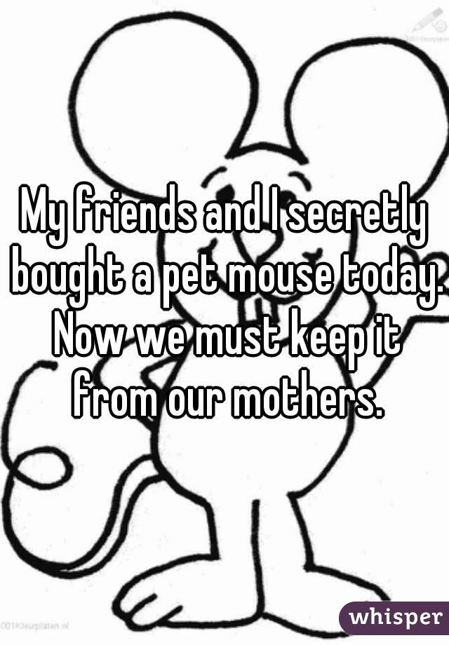 My friends and I secretly bought a pet mouse today. Now we must keep it from our mothers.