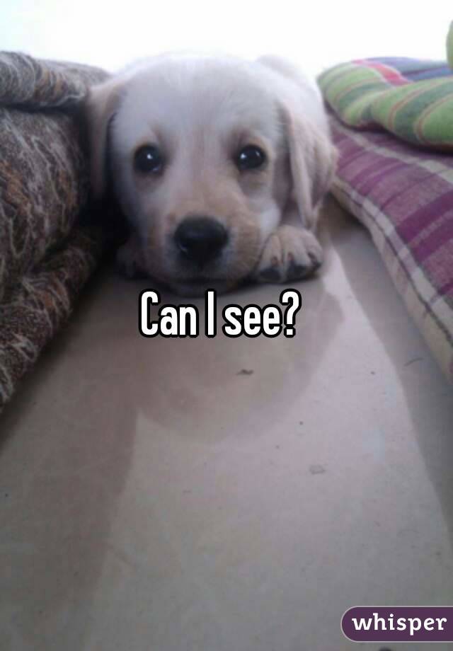 Can I see? 