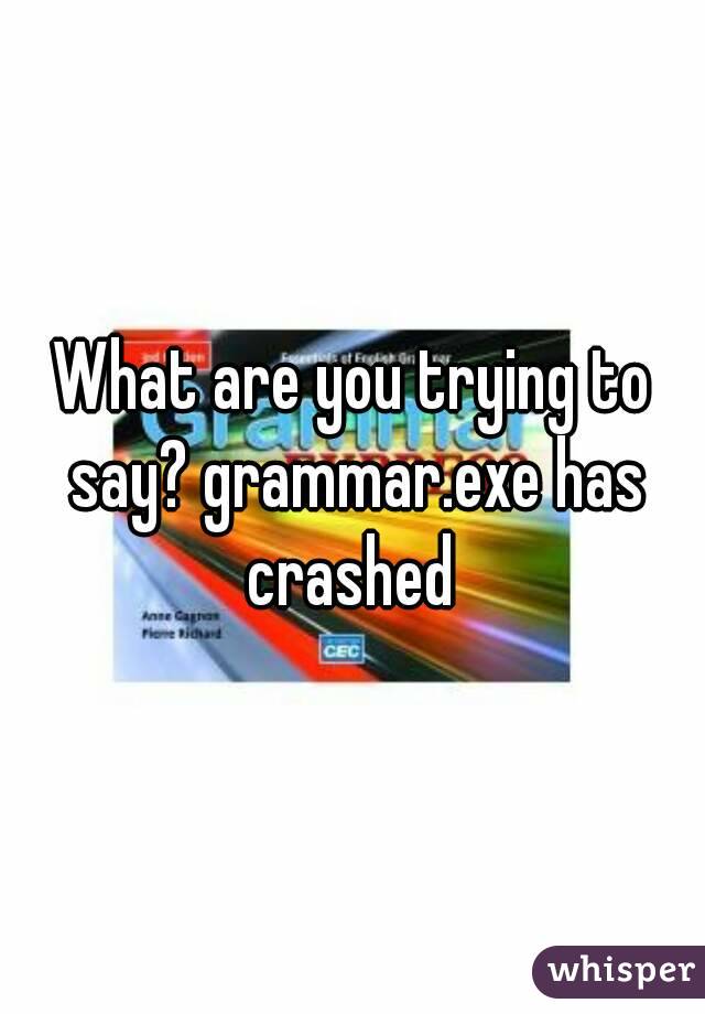 What are you trying to say? grammar.exe has crashed 
