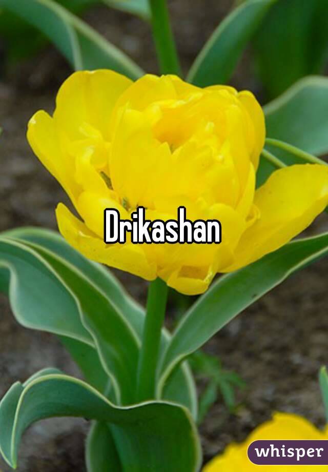 Drikashan