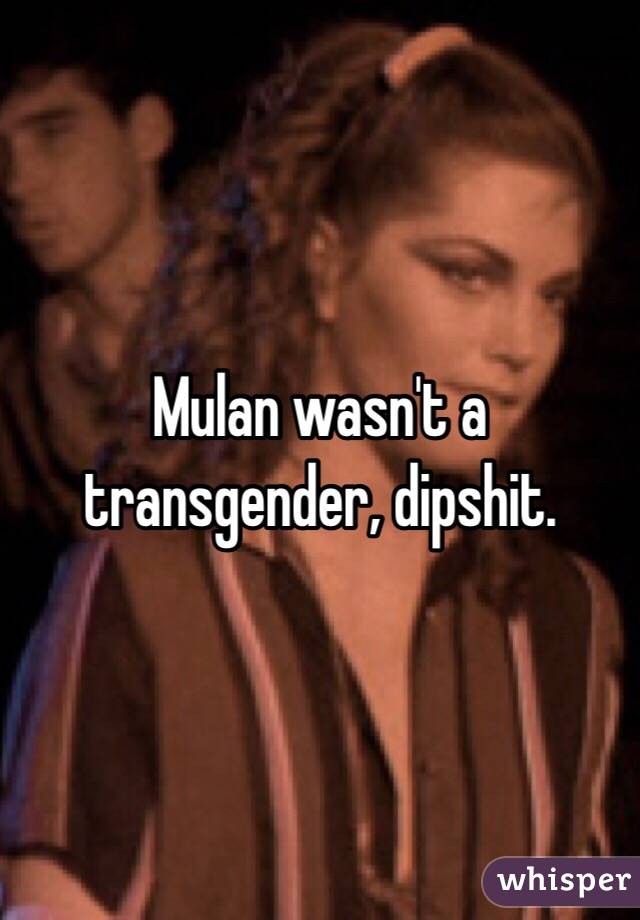 Mulan wasn't a transgender, dipshit. 