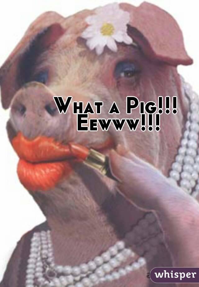 What a Pig!!! 
Eewww!!!