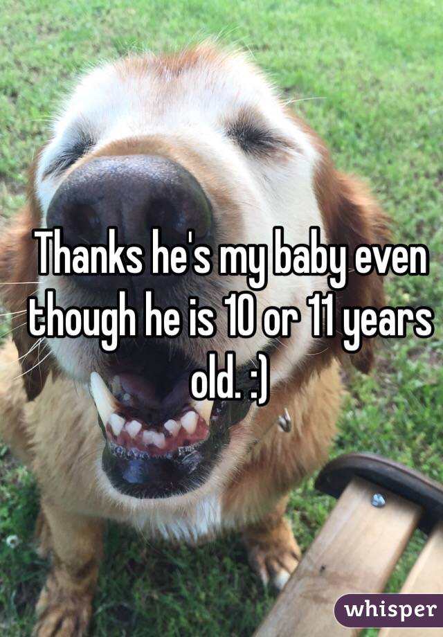 Thanks he's my baby even though he is 10 or 11 years old. :)