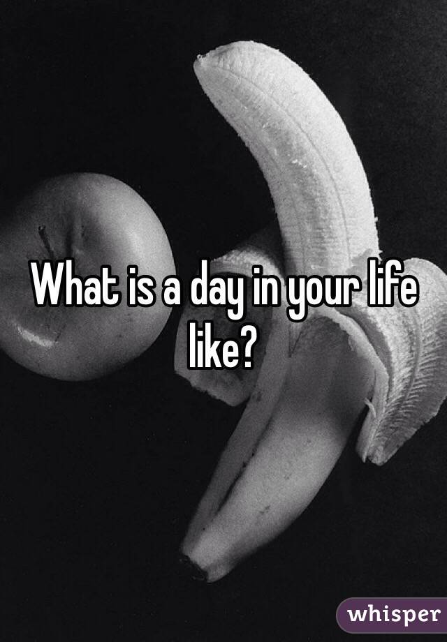 What is a day in your life like?