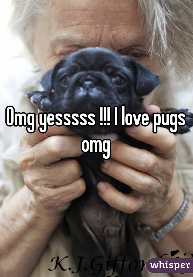 Omg yesssss !!! I love pugs omg 