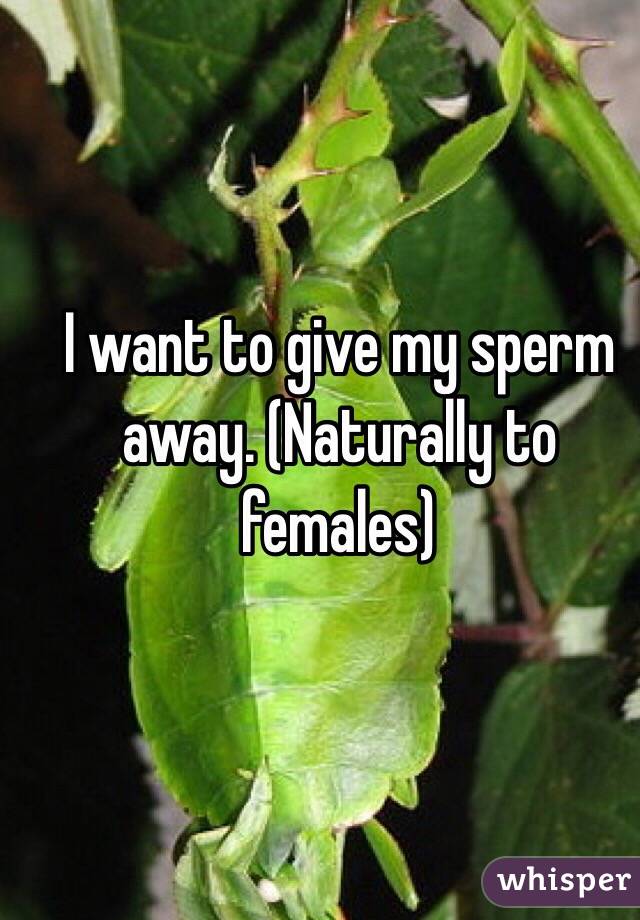 I want to give my sperm away. (Naturally to females) 