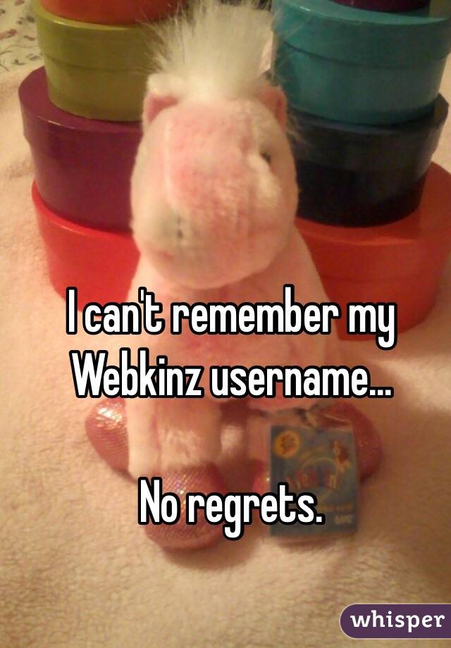 I can't remember my Webkinz username...

No regrets. 