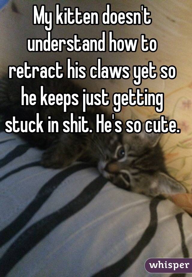 What is the only cat that can't retract its claws?