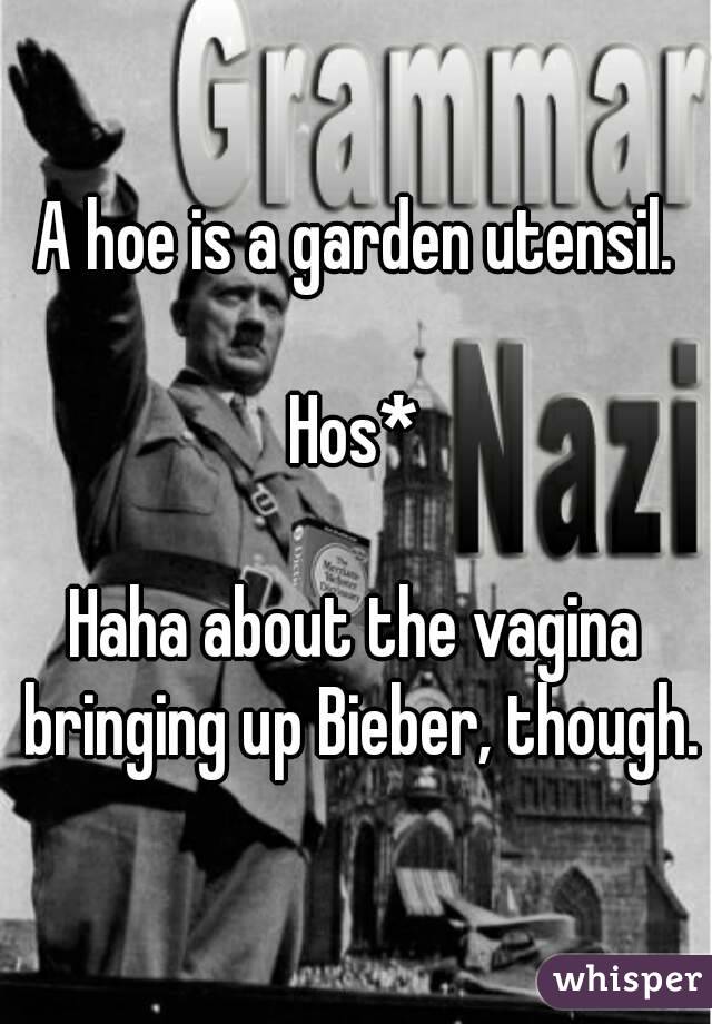 A hoe is a garden utensil.

Hos*

Haha about the vagina bringing up Bieber, though.
