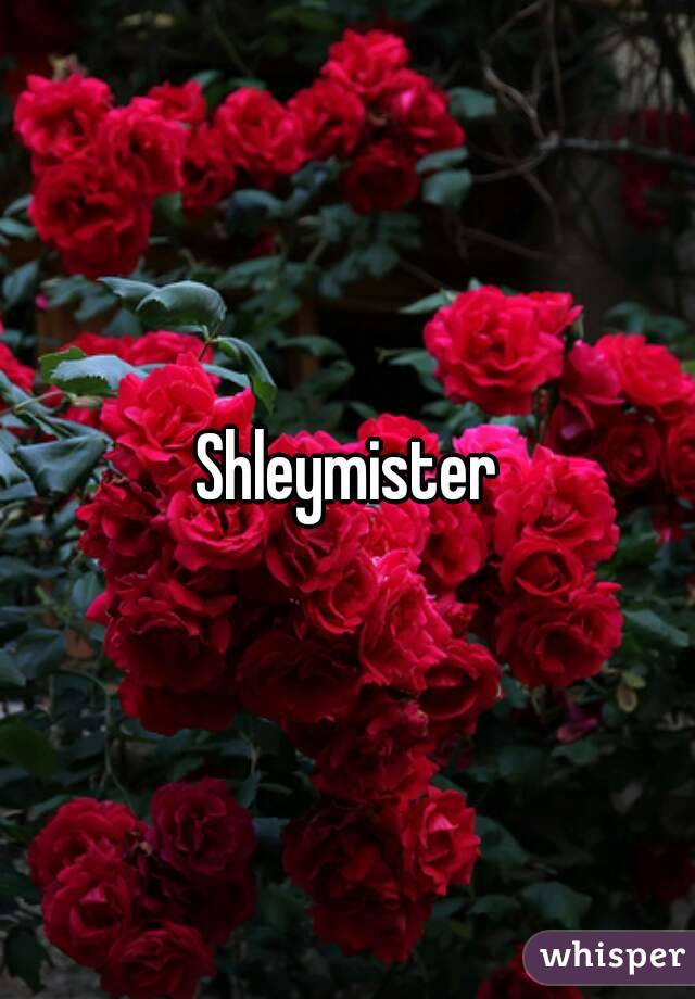 Shleymister