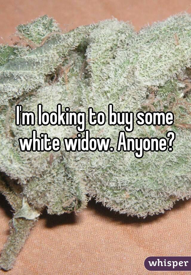I'm looking to buy some white widow. Anyone?