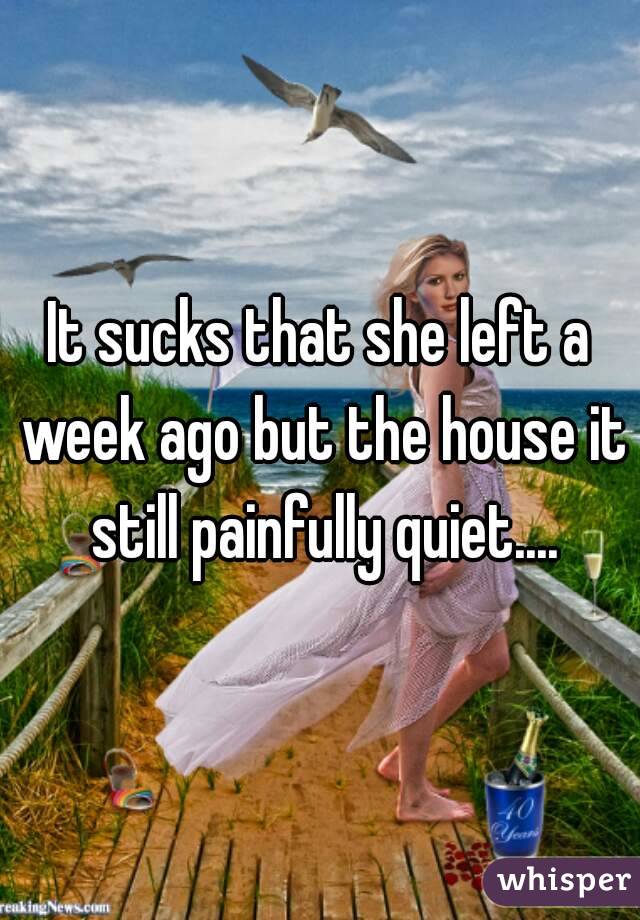 It sucks that she left a week ago but the house it still painfully quiet....