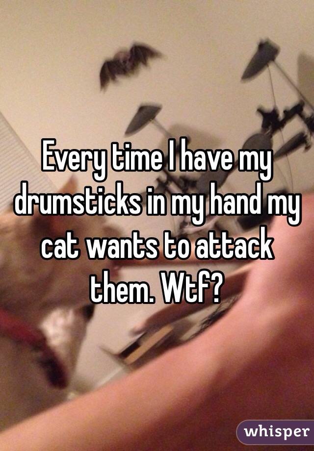 Every time I have my drumsticks in my hand my cat wants to attack them. Wtf?