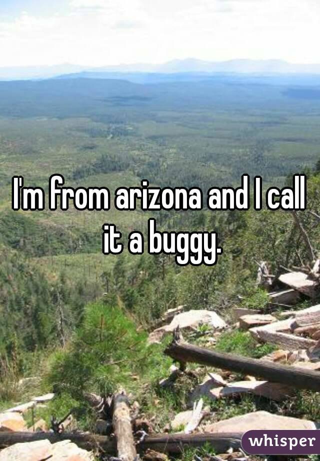 I'm from arizona and I call it a buggy.
