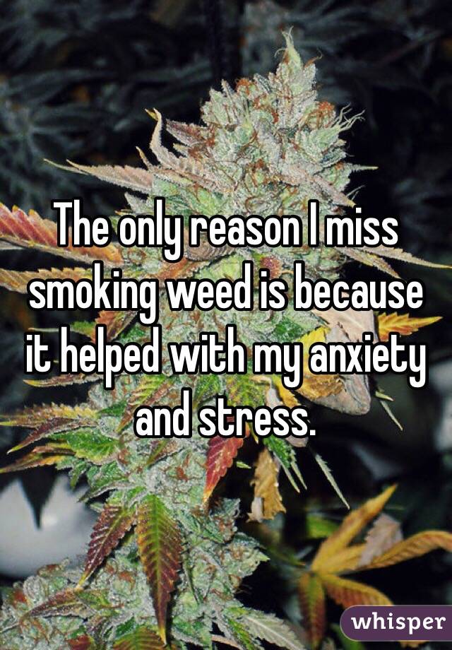 The only reason I miss smoking weed is because it helped with my anxiety and stress. 