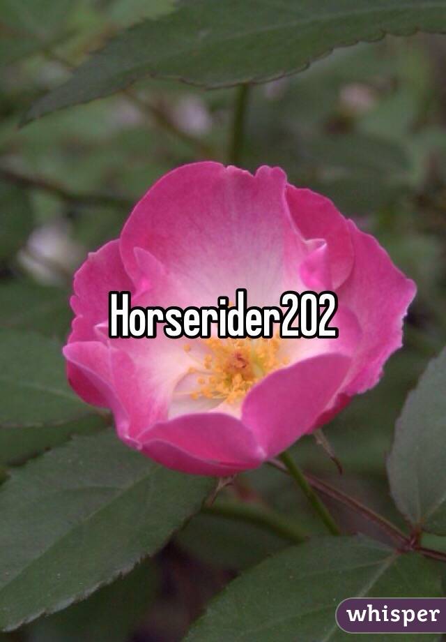 Horserider202