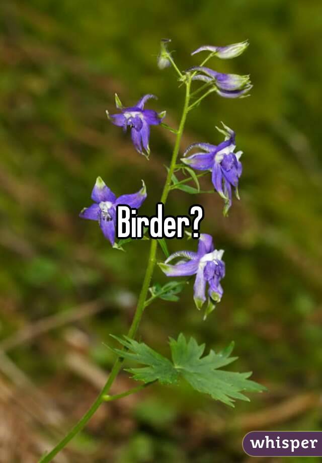 Birder?
