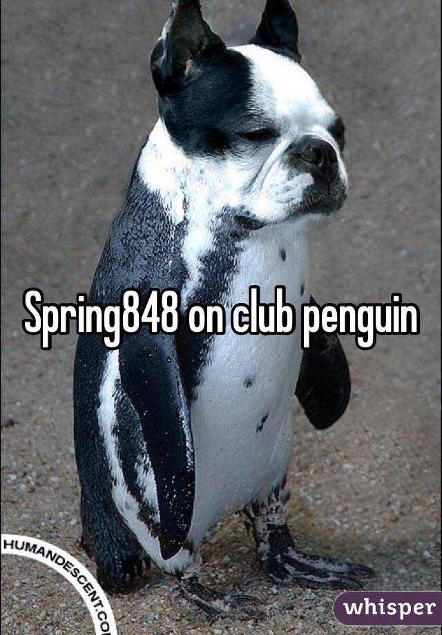 Spring848 on club penguin