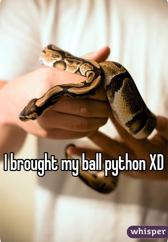 I brought my ball python XD
