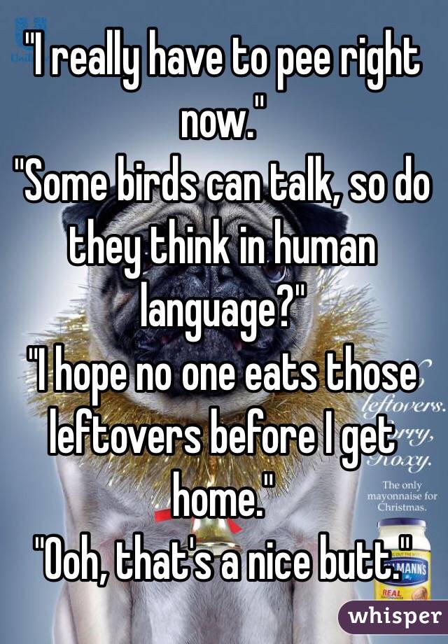 "I really have to pee right now."
"Some birds can talk, so do they think in human language?"
"I hope no one eats those leftovers before I get home."
"Ooh, that's a nice butt."