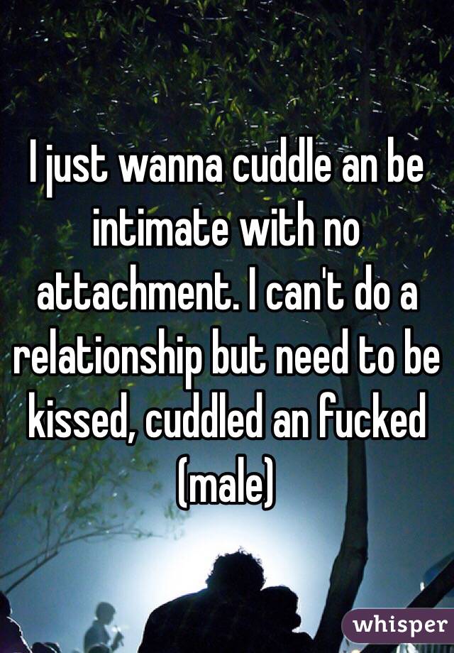 I just wanna cuddle an be intimate with no attachment. I can't do a relationship but need to be kissed, cuddled an fucked (male)