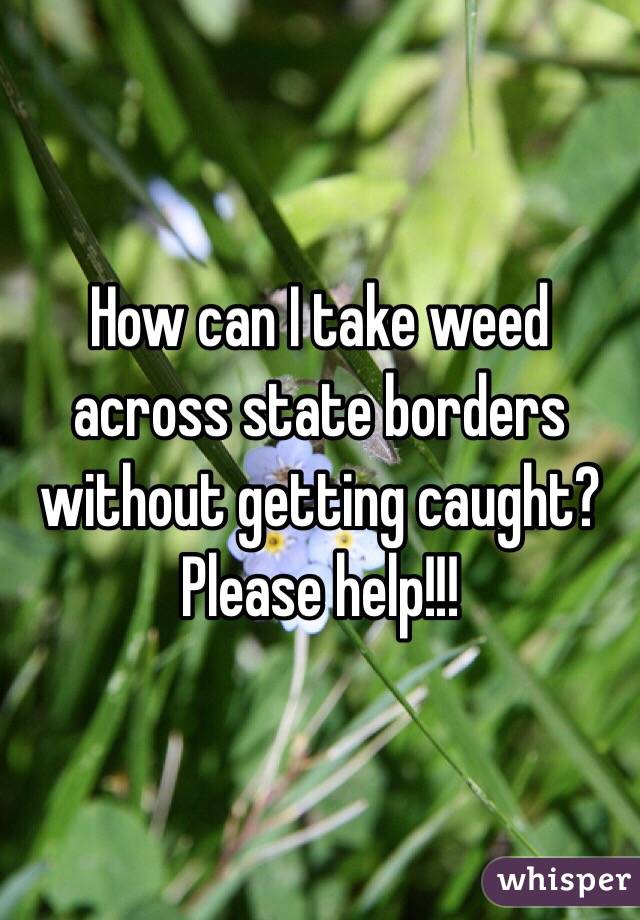 How can I take weed across state borders without getting caught? Please help!!!  