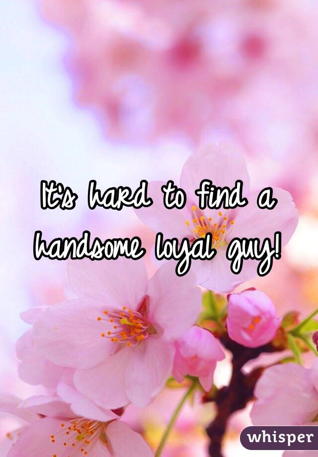 It's hard to find a handsome loyal guy! 