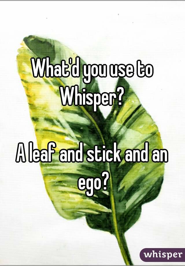 What'd you use to Whisper? 

A leaf and stick and an ego?