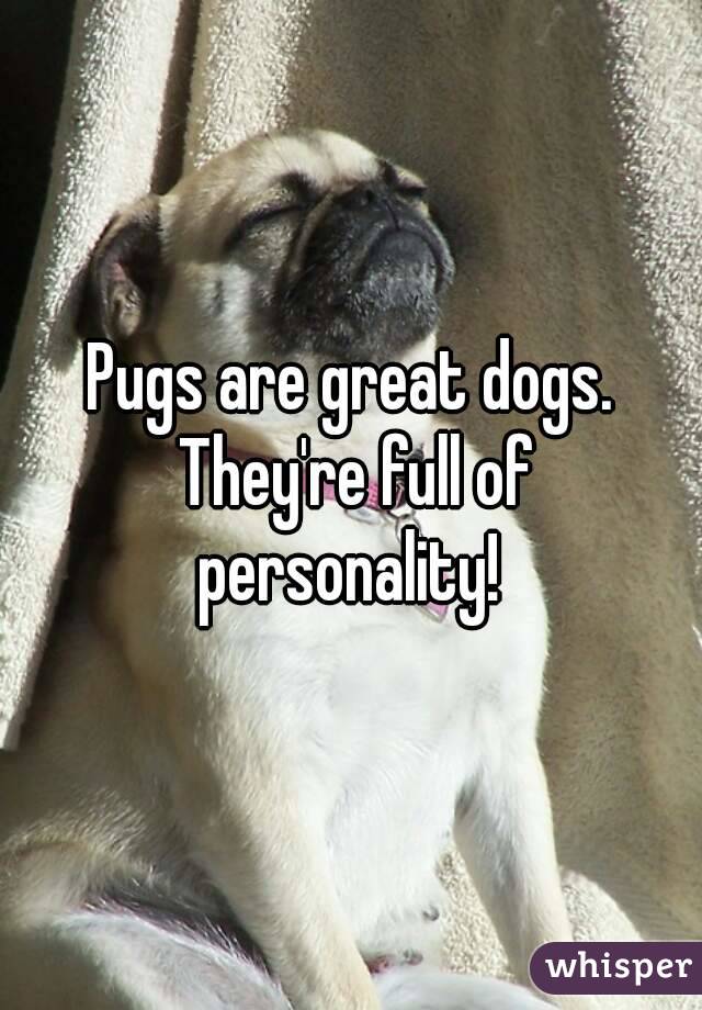 Pugs are great dogs. They're full of personality! 