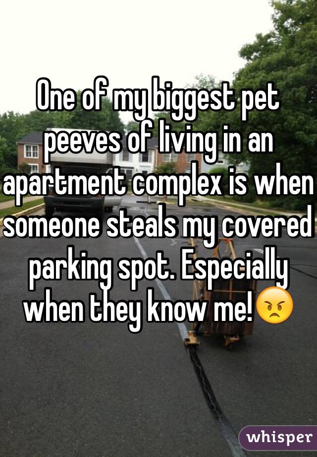 One of my biggest pet peeves of living in an apartment complex is when someone steals my covered parking spot. Especially when they know me!😠
