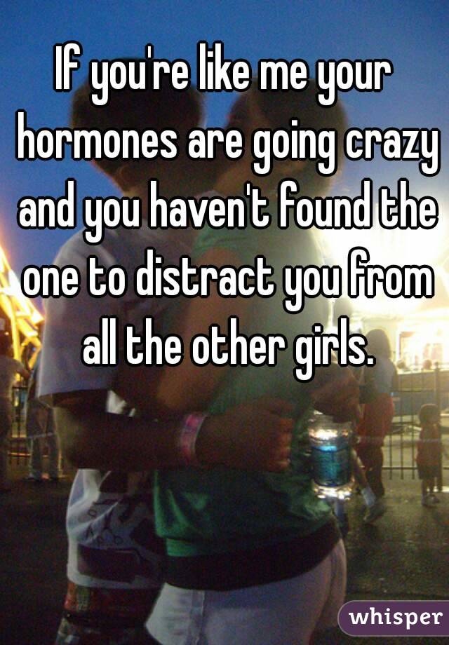 If you're like me your hormones are going crazy and you haven't found the one to distract you from all the other girls.