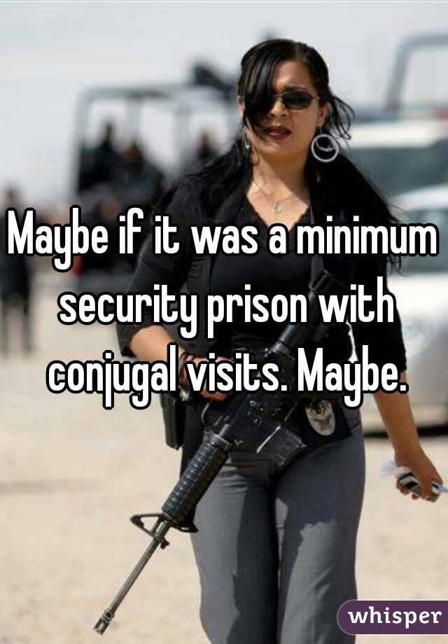 Maybe if it was a minimum security prison with conjugal visits. Maybe.