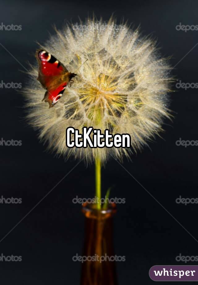 CtKitten