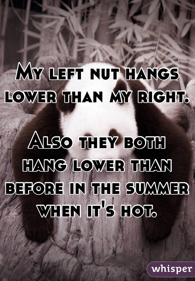 My left nut hangs lower than my right. 

Also they both hang lower than before in the summer when it's hot. 