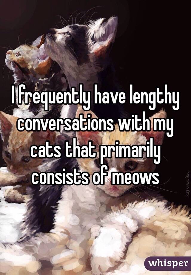 I frequently have lengthy conversations with my cats that primarily consists of meows
