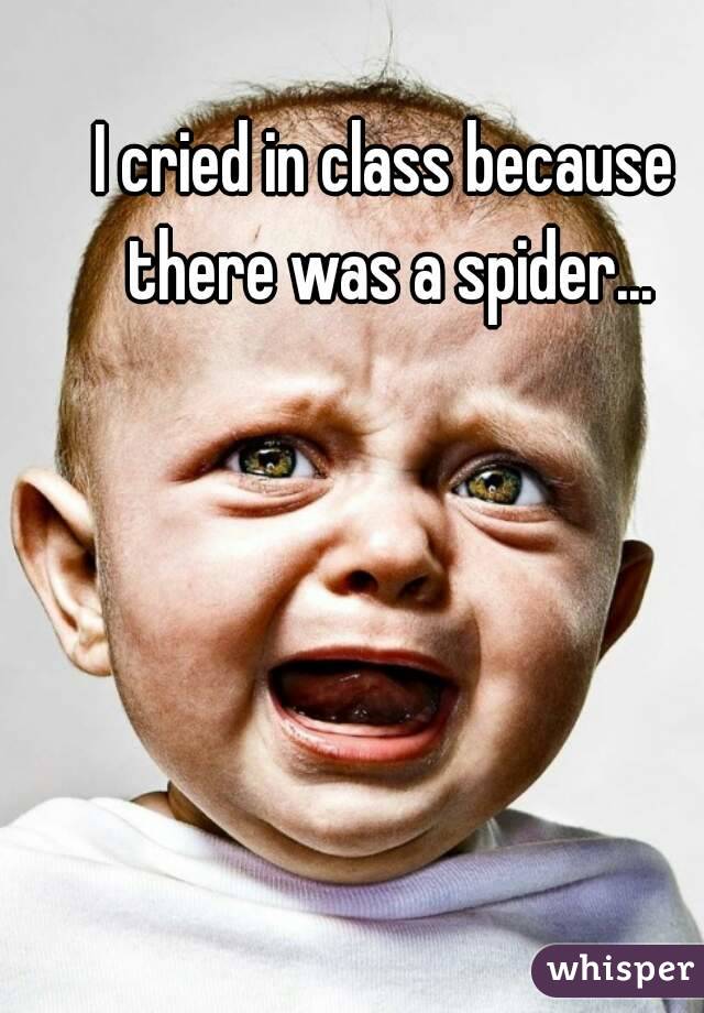 I cried in class because there was a spider...