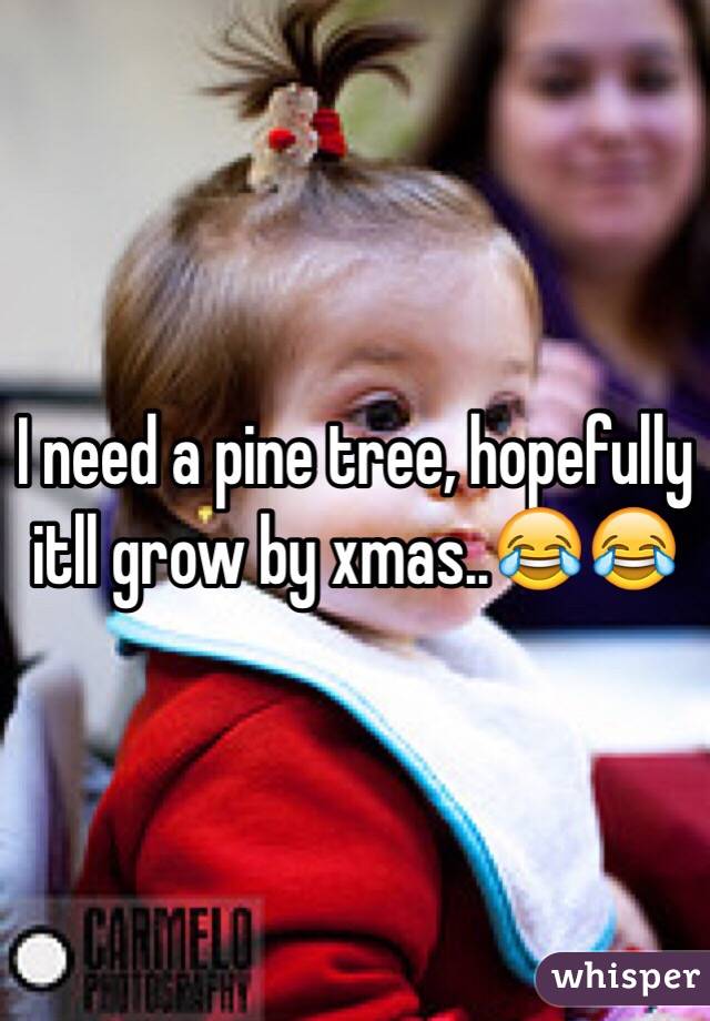 I need a pine tree, hopefully itll grow by xmas..😂😂