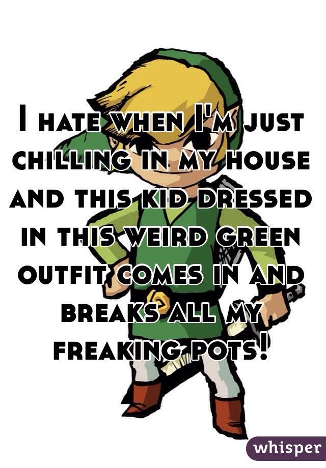 I hate when I'm just chilling in my house and this kid dressed in this weird green outfit comes in and breaks all my freaking pots!